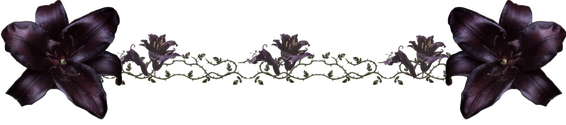 Belladonna divider